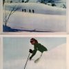 ski on the wild side lobby cards (1)