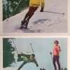 ski on the wild side lobby cards (1)