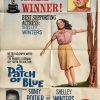 A Patch of Blue 1965 Australian One Sheet Poster Shelley Winters Sidney Poitier Elizabeth Hartman