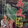 fists of shaolin 1973 Hong Kong Movie Poster