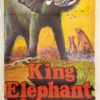 king elephant daybill poster 1971 also known as the african elephant movie