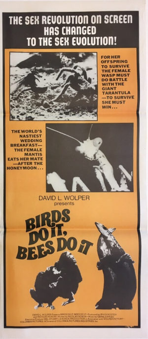 birds do it bees do it daybill poster