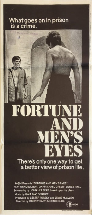 fortune and men's eyes daybill poster