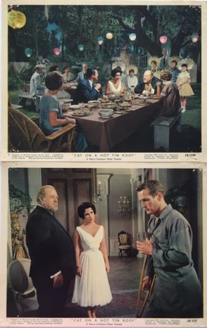 cat on a hot tin roof us front of house stills featuring paul newman and elizabeth taylor (3)