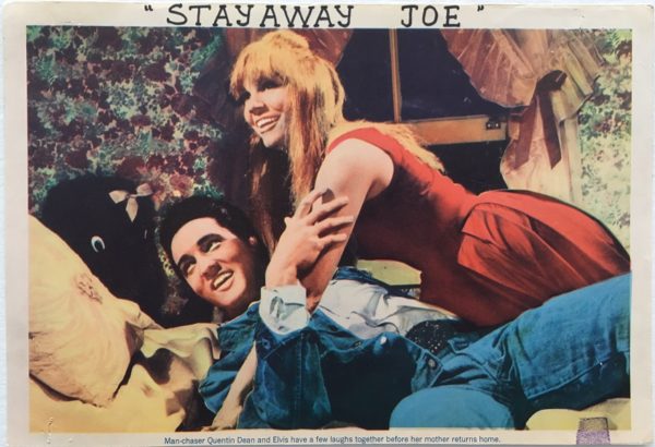 stay away joe elvis presley lobby card 1968 (12) trimmed