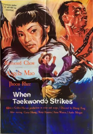 when taekwondo strikes hong kong movie poster with angela mao Tai quan zhen jiu zhou