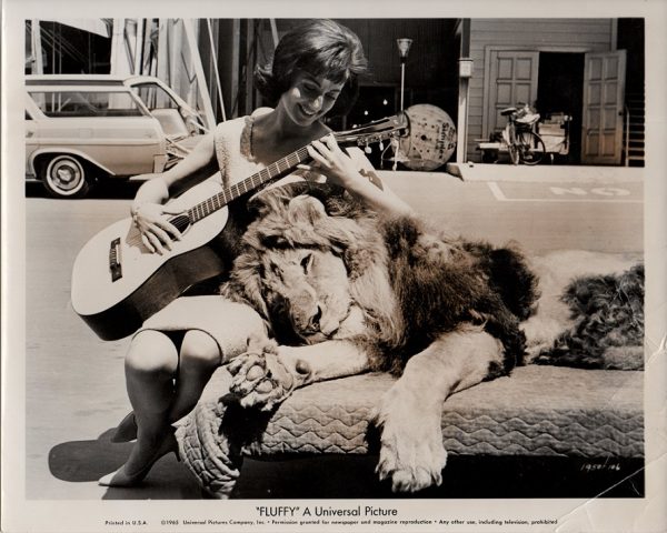 fluffy publicity still 1965