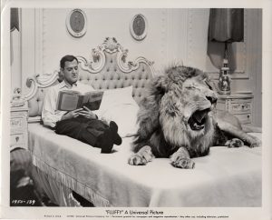 fluffy publicity still 1965