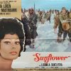 sunflower italian poster with sofia loren 1970 photobusta