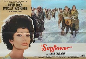 sunflower italian poster with sofia loren 1970 photobusta