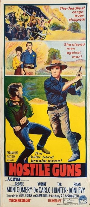 Hostile guns daybill movie poster western 1967