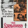 The strawberry statement Australian daybill poster 1970