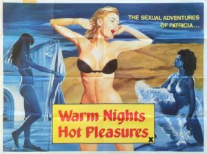 Warm Nights Hot Pleasures UK Sexploitation Adult Quad Poster with Tom Chantrell art (11)