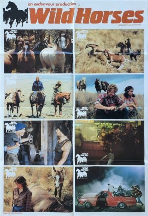 Wild Horses New Zealand Lobby Card One Sheet poster