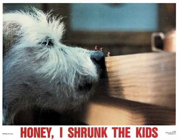 Honey I shrunk the kids US Lobby card 1989 (4)