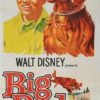 Big Red Australian daybill movie poster by Walt Disney (1) Irish Setter