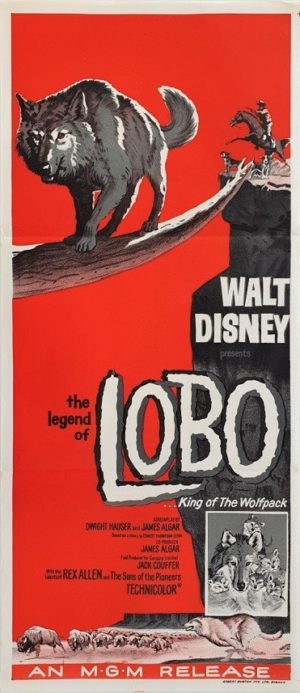 The Legend of Lobo Australian daybill movie poster by Walt Disney (4)
