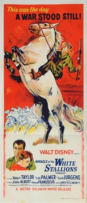 Miracle of the white stallions Australian daybill movie poster by Walt Disney (3)