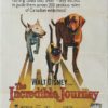 The Incredible Journey Walt Disney Australian One Sheet movie poster (65)