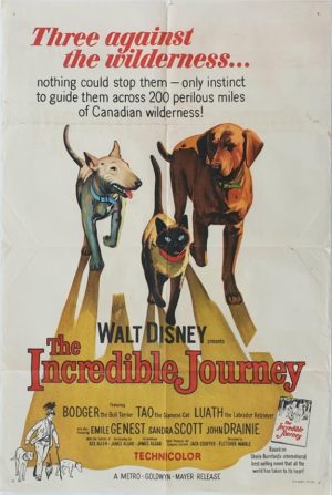 The Incredible Journey Walt Disney Australian One Sheet movie poster (65)