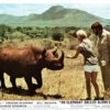 An Elephant Called Slowly Uk Front Of House Lobby Card (9)