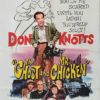 Don Knotts The Ghost And Mr Chicken Us One Sheet Movie Poster (5)