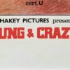 Neil Young Crazy Horse Uk Quad Poster (9)