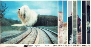 Digby The Biggest Dog In The World Us Stills 1974 8 X 10 (2)