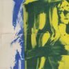 Frankenstein Created Woman Us Window Card Peter Cushing Hammer Horror (4)