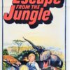 Escape From The Jungle Australian Daybill Movie Poster Z.E.B.R.A. 1971