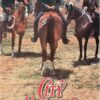 City Slickers Australian Daybill Movie Poster (4)