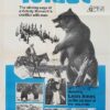 Toklat Australian One Sheet Movie Poster Grizzly Bear (2)