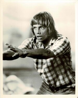 Corvette Summer 1978 Us Still Mark Hamill (1)