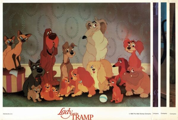 The Lady And The Tramp Us Lobby Cards (21)