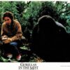 Gorillas In The Mist Us Lobby Cards 11 X 14