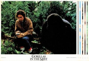 Gorillas In The Mist Us Lobby Cards 11 X 14