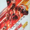Ant Man And The Wasp One Sheet Movie Poster (4)