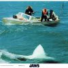 Jaws Still 8 X 10 (1)