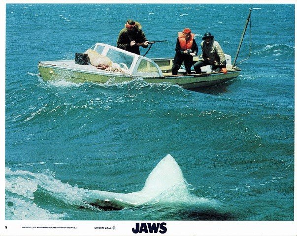 Jaws Still 8 X 10 (1)