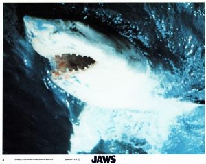 Jaws Still 8 X 10 (3)
