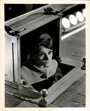 Charade Us Still Audrey Hepburn Cary Grant (7)