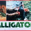 Alligator Italian Photobusta Medium (1)