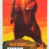 Giant King Of The Grizzlies Australian Daybill Movie Poster (6)