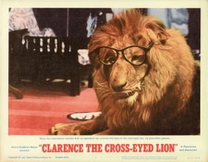 Clarence The Cross Eyed Lion Us Lobby Card 11 X 14 (11)