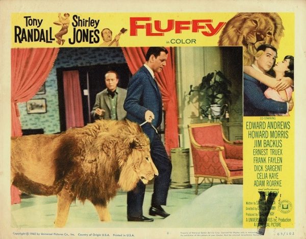 Fluffy Us Lobby Card 11 X 14 (12)