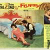 Fluffy Us Lobby Card 11 X 14 (13)