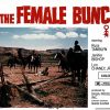 The Female Bunch Us Lobby Card (7)