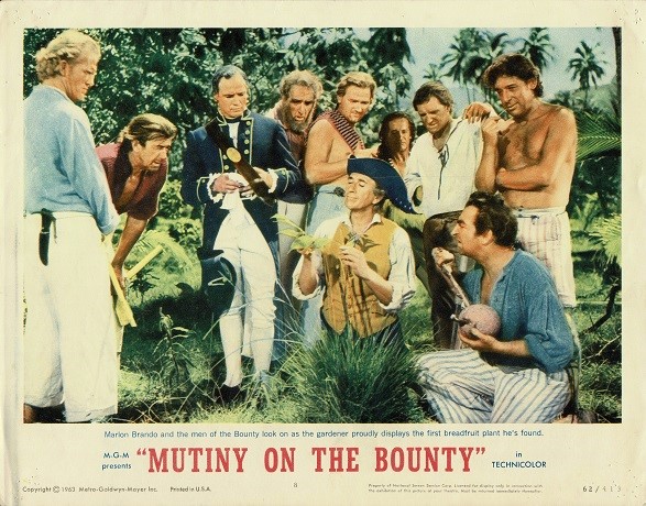 Muntiy On The Bounty Us Movie Lobby Card (8)