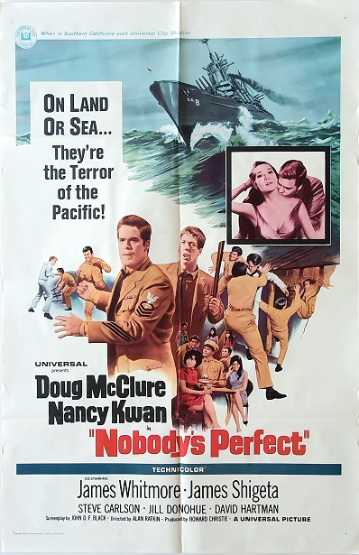 Nobodys Perfect Us One Sheet Movie Poster (1)