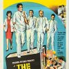 The Interns Australian Daybill Movie Poster Medical Drama